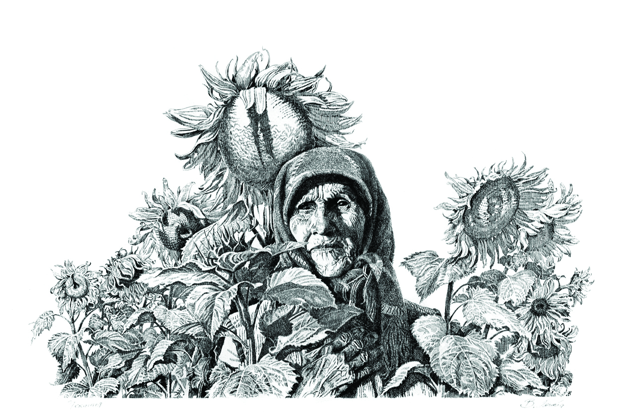 Sunflowers.jpg