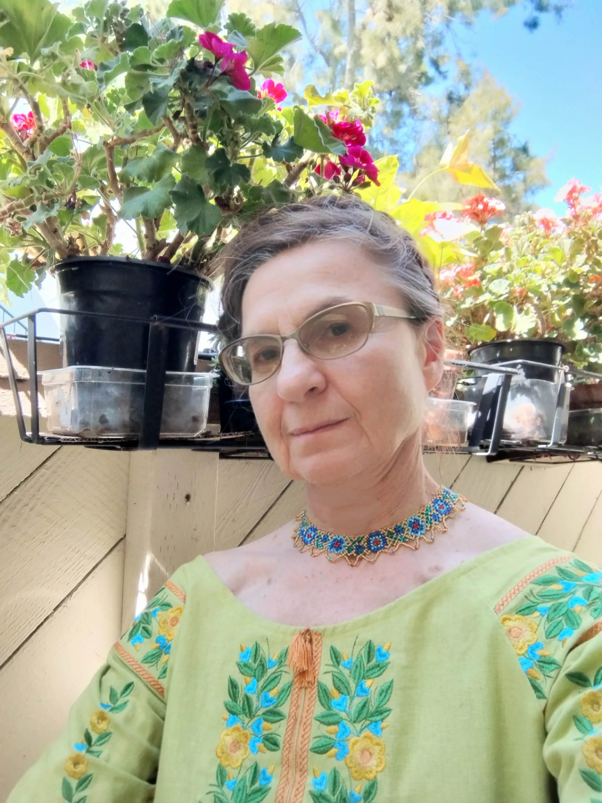 Doctrine "The Greatness of America"