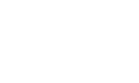 Protez Foundation logo